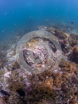 Submerged ruins of Pisonian Villa. Underwater, Archeology