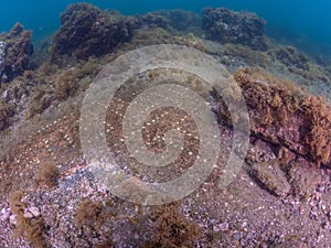 Submerged ruins of Pisonian Villa. Underwater, Archeology