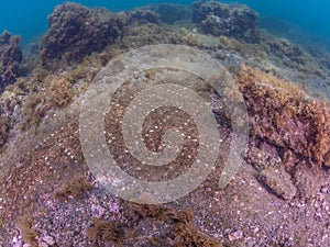 Submerged ruins of Pisonian Villa. Underwater, Archeology