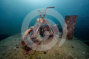 Submerged rusty motorcycle at Tor 13 dive site, Thailand