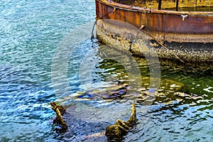 Submerged Turret Oil USS Arizona Memorial Pearl Harbor Honolulu Hawaii