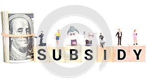 Subsidy