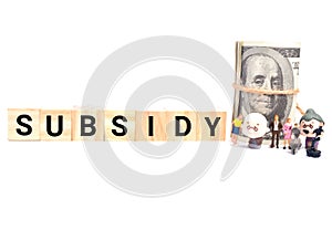 Subsidy for B40