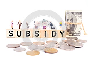 Subsidy for B40