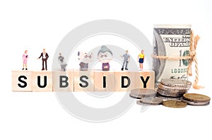 Subsidy for B40