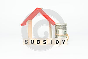Subsidy concept