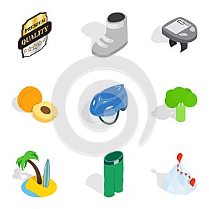 Subsidy icons set, isometric style