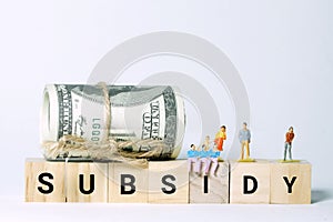 Subsidy word block with fake money and miniature in dramatic way