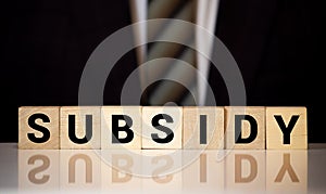 SUBSIDY the word on wooden cubes, cubes stand on a reflective surface