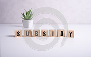 Subsidy - the word on wooden cubes on white