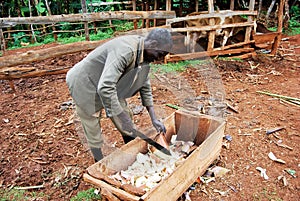 Subsistence Farming in Eastern Uganda