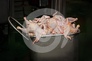 Substandard chicken carcass in a metal tank. Food waste
