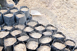 Substrate materials for growing plant. soil and fertilizer in planting bag for transplanting seedling