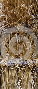 Substructure of an old straw roof photo