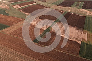 Subterranean groundwater flooding crops in cultivated fields, aerial view