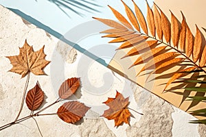 Beige shadow texture with leaf pattern