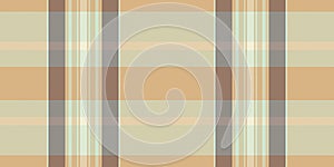 Subtle earthtoned plaid pattern. Perfect for textile designs, website backgrounds, or fashion projects. This calming, neutral