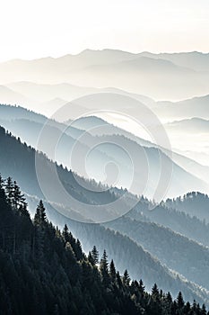 White Gray Gradient Abstract Background photo