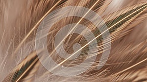 The subtle interplay of light and shadow emphasizing the natural