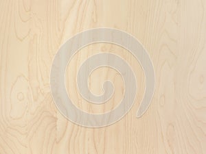 Smooth light tan birch wood background surface