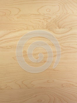 Smooth light brown birch wood background surface