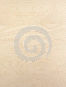Smooth light tan birch wood background surface