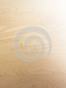 Soft tan natural birch wood grain abstract background surface