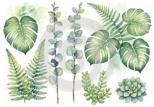 With subtle shading, emphasizing texture and shape, typical of