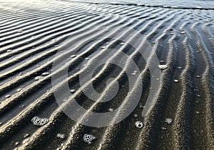 Subtle shadows, emphasizing the contours and adding depth to the