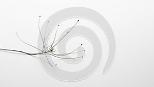 The subtle shadows enhance the visual impact emphasizing the