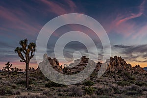 Subtle Sunset Over Joshua Tree and Boulders