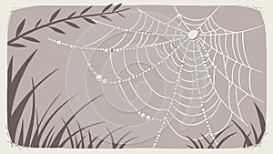 Delicate Spider Web Background, Intricate Nature Pattern, vector design Generative AI