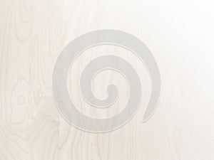 Subtle white birch wood grain background surface