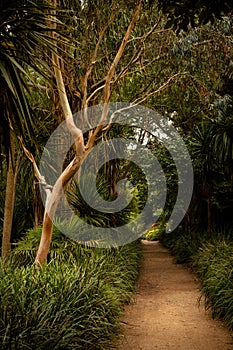 Subtropical Gardens of Abbotsbury