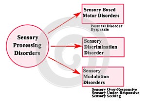 Subtypes of Sensory Processing Disorder