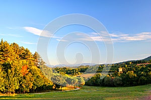 Suburb landscape