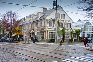 Suburb of Philadelphia in the fall