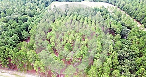 Suburban American Landscape Aerial View