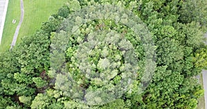 Suburban American Landscape Aerial View