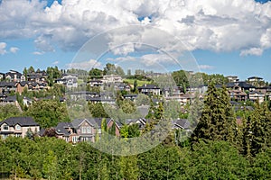 Suburban Calgary in summer