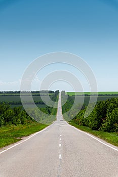 Suburban empty road asphalt surrounded by trees and grass. The concept of transportation and travel. Background green