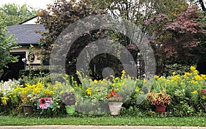 Suburban Front Curbside Garden