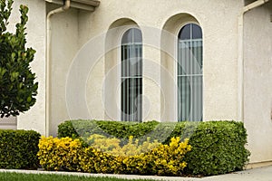 Suburban house arch windows