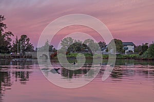 Suburban Lake from Above During Sunrise photo