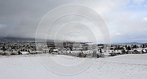 Suburban Landscape in Winter
