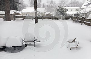 Suburban Neighborhood Backyard Blizzard - Deep Snow