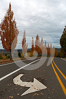 Suburban Neighborhood Street in Fall Season