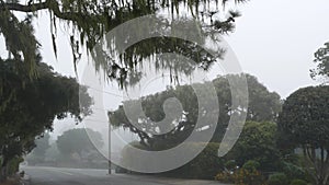 Suburban residential district street, foggy misty road rainy weather, California