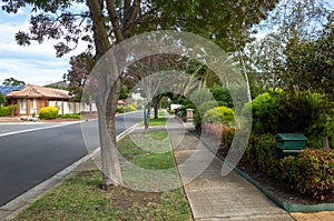 A suburban tree-lined Street with beautiful front yard Gardens in a Quiet Residential Area.