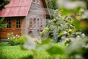 Suburban wooden house with a red roof in the green garden at russian countryside in summer